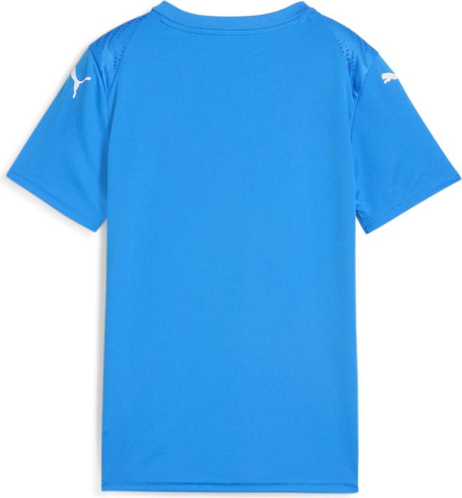 Produktbild Puma teamULTIMATE Jersey Jr (140)