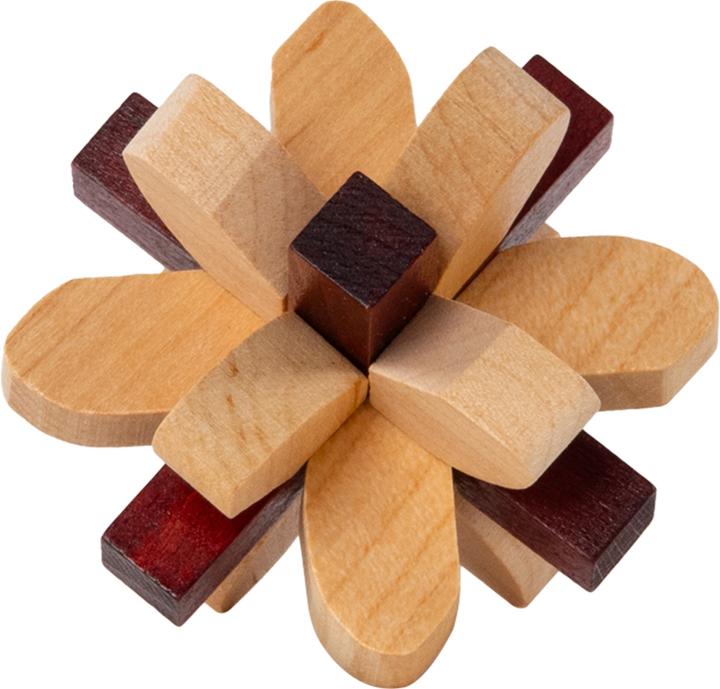 Actual product image Recent Toys Brain Puzzle No.2 Parietal Lobe