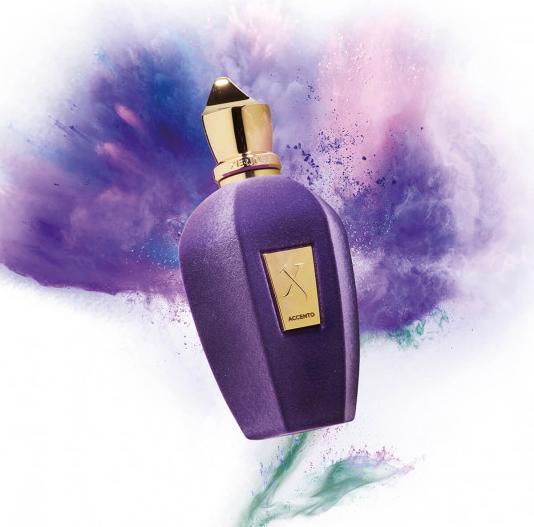 Image du produit XerJoff DUPLICAT Accento (Eau de parfum, 100 ml)