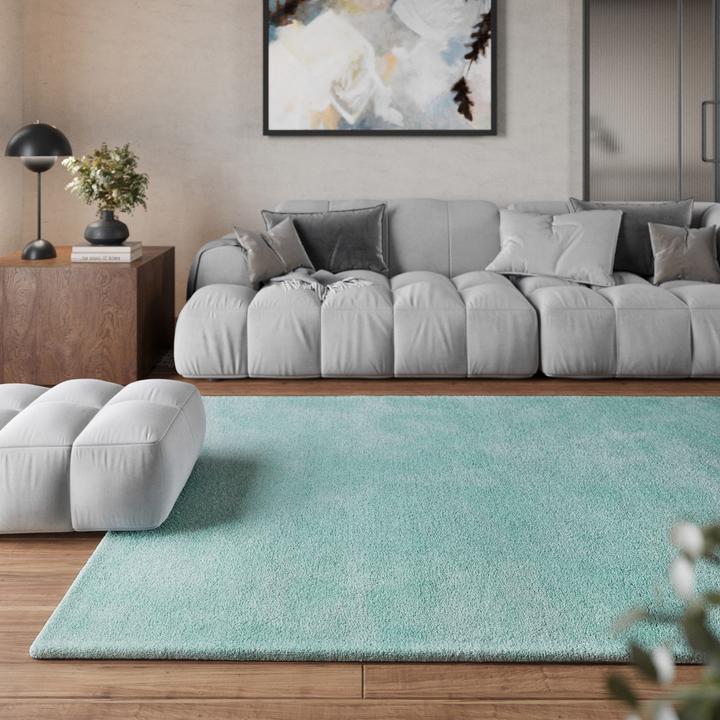 Actual product image Homie Living Pisa (120 x 170 cm)