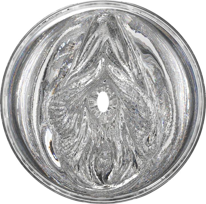 Image du produit Fleshlight Stoya