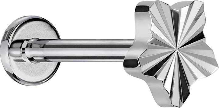 Image du produit Star Piercing Micro Labret femelle argenté Disque diamanté étoile argenté (sans laiton, Titane G23)