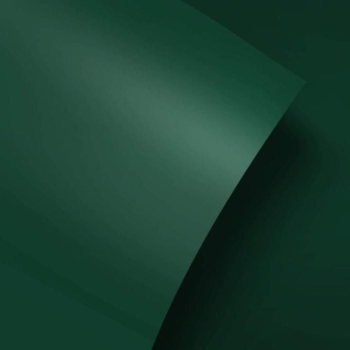 Produktbild Trenddeko Uni Dunkelgrün (100 x 200 cm)