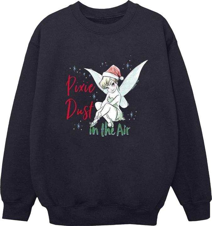 Disney Tinker Bell Pixie Dust Sweatshirt (XL)