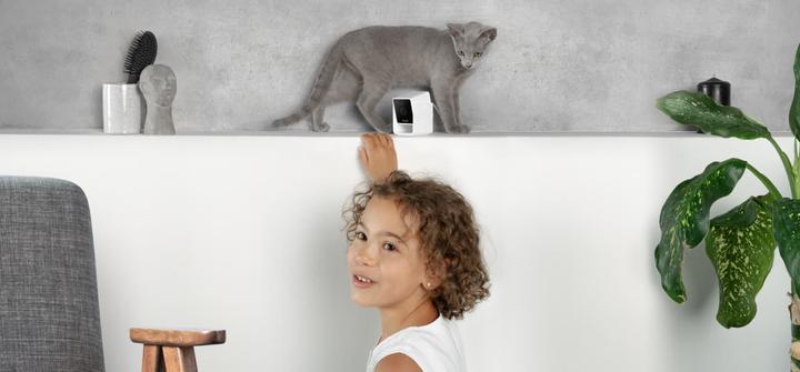 Actual product image Petcube Pet Camera (Catmint toy)