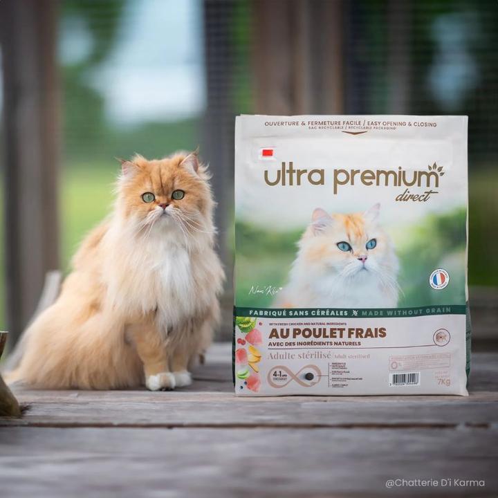 Ultra Premium Direct Sensitive Adult Cat - Fresh Chicken (Adult, 7000 g)