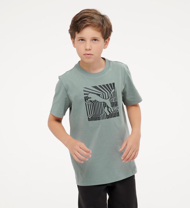 Image du produit Decathlon T-shirt coton imprimé enfant, vert (152)