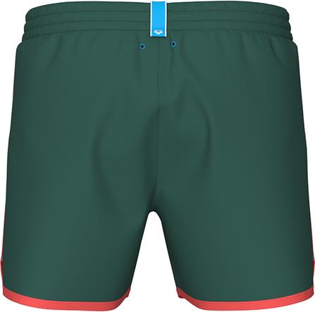 Actual product image Arena M Big Logo Borders Beach Short (L)