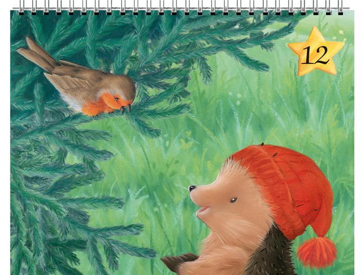 Produktbild Der kleine Igel und das Rotkehlchen (Deutsch, M Christina Butler)