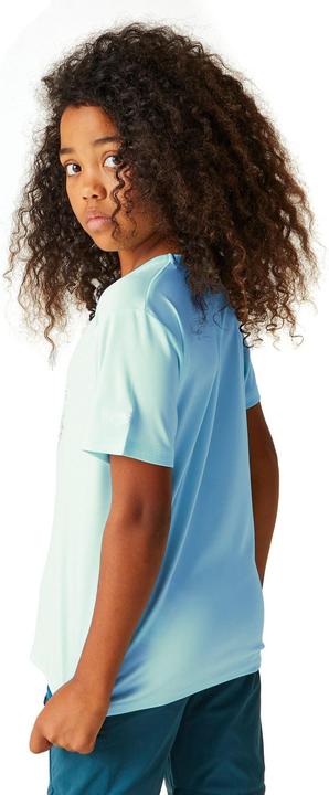 Actual product image Regatta Childrens/Kids Alvardo VIII Graphic Print T-Shirt (170, 176)