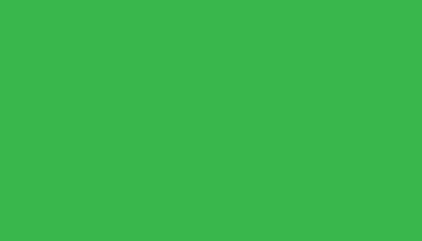 Produktbild Papyrus Tonzeichen A4 130g grasgr (130 g/m², 100 x)