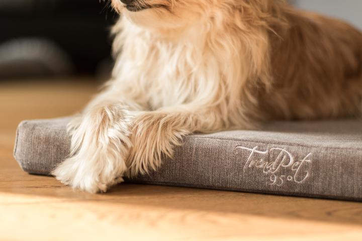Actual product image Trend Pet Dog bed VitaMedog, L (Dog)