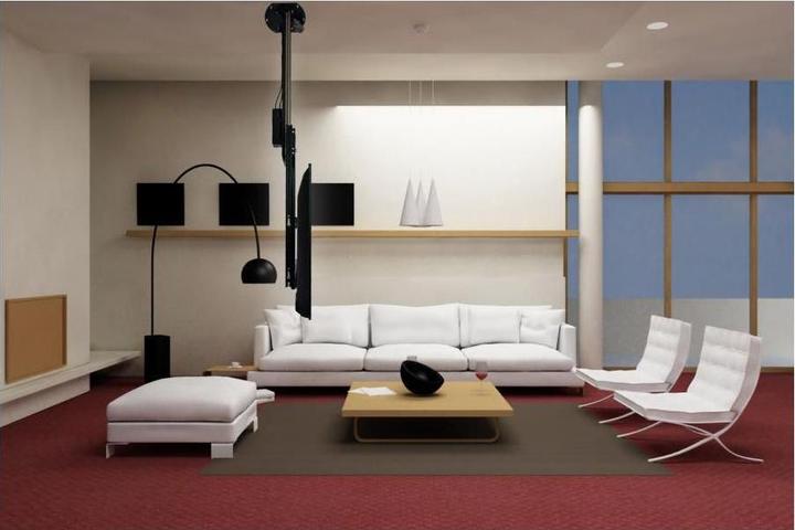 Actual product image DSS TV Lift wall and ceiling lift, metal / 0546 (Wall, 70", 120 kg)