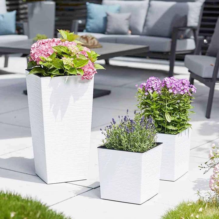 Immagine prodotto Siena Garden Modern (30 cm)