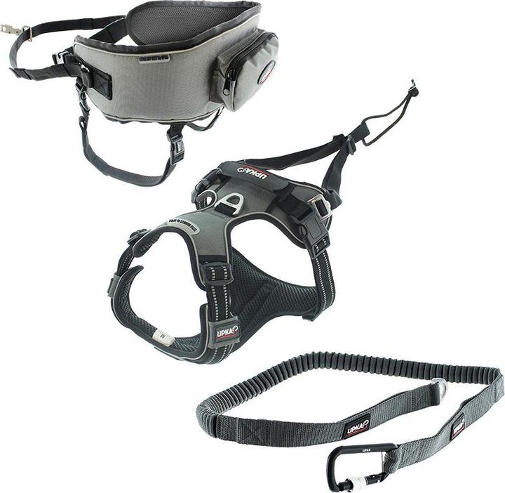 Image du produit i-DOG Style (Chien, Général)