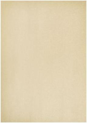 Artoz Papier Glaze bronze shine (A4, 5 x)