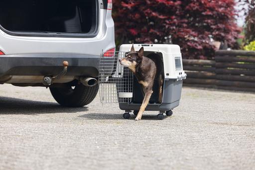 Produktbild Karlie Nomad (Hund, Katze, Abschliessbar)
