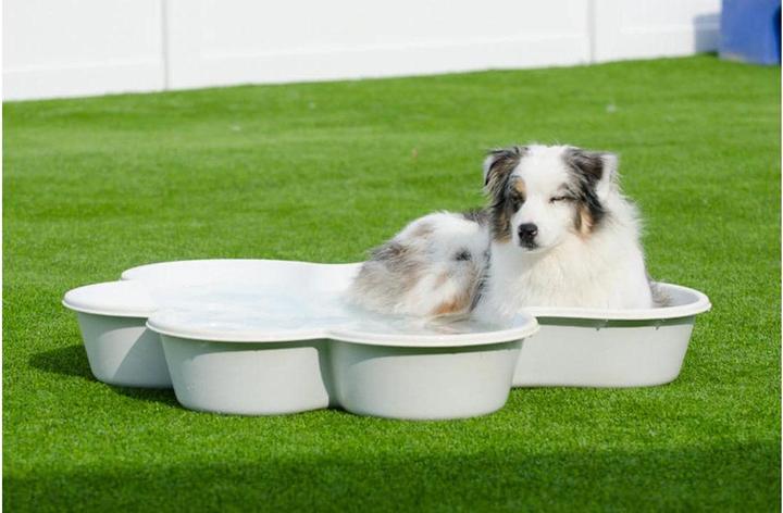 Image du produit Neogard Piscine pour chiens en forme de patte (Piscine pour chiens)