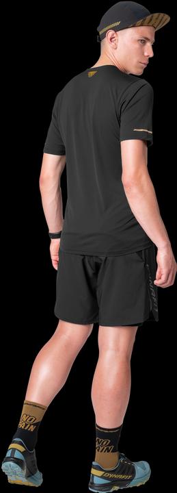 Actual product image Dynafit ALPINE PRO 2/1 SHORTS, Herren (XL)