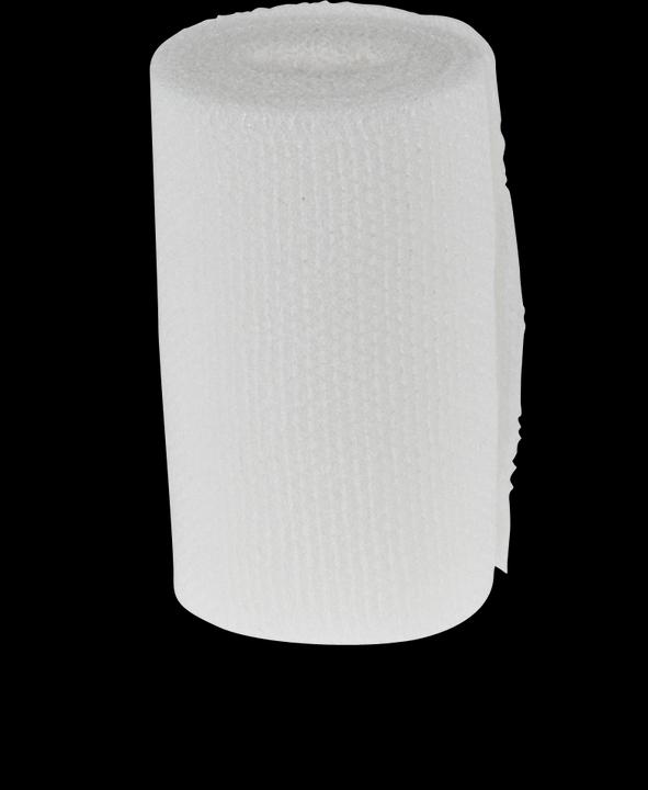 Actual product image DermaPlast Stretch