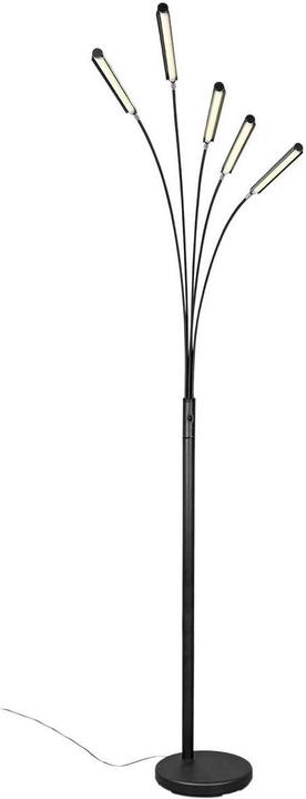 Lipo Reed (1750 lm)