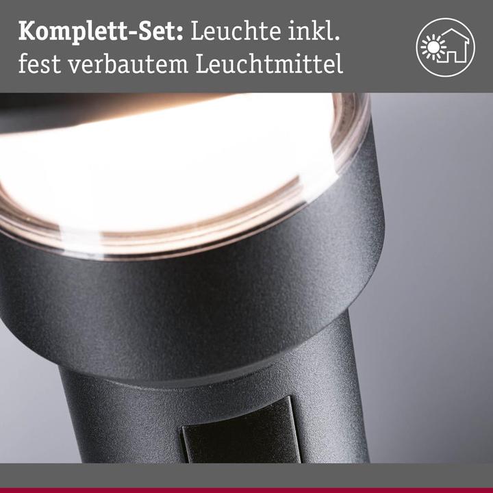 Actual product image Paulmann Sienna (950 lm, IP44)