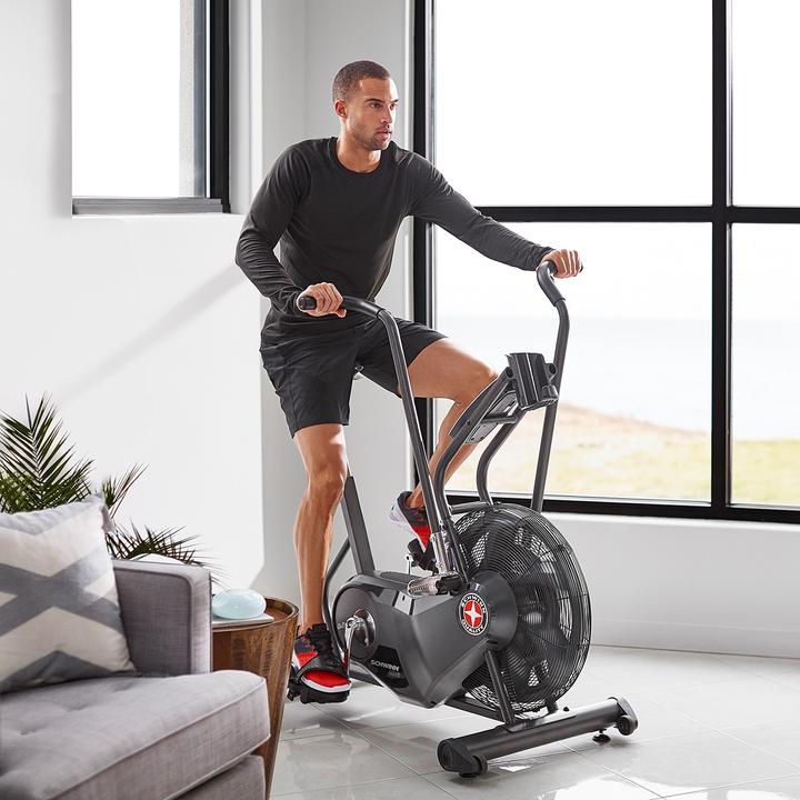 Actual product image Schwinn AD6 Airdyne Bike