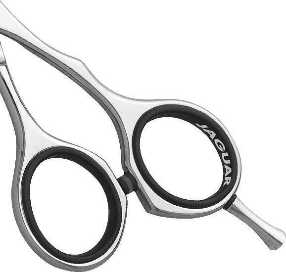 Immagine prodotto Jaguar HS 46525 JP 10 (13.34 cm)