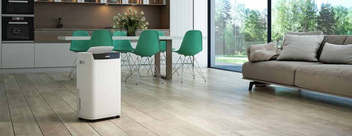 Actual product image Olimpia Splendid Aquaria S1 24P (42 m², 24 l/24h)