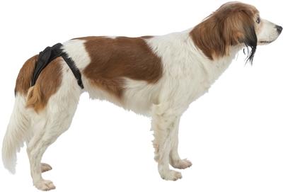 Produktbild Trixie Beschermbroekje Comfort Mesh Materiaal Zwart (Hund)