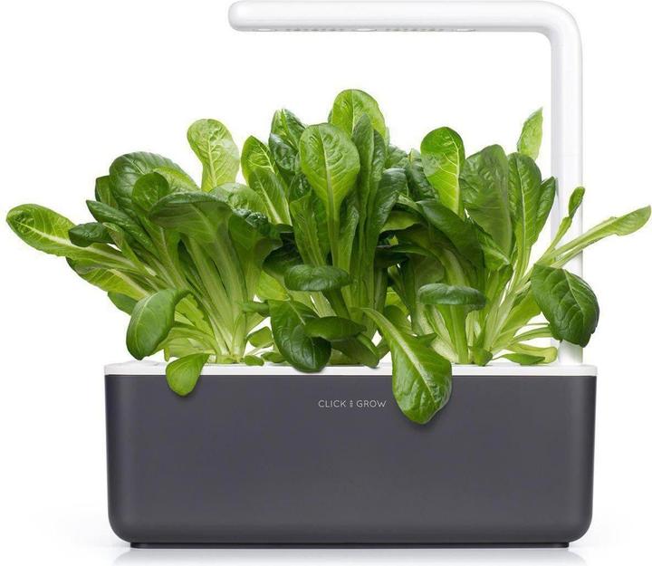 Actual product image Click and Grow Romain Lettuce (Seedlings)