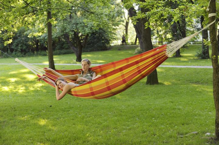 Actual product image Amazonas Barbados (200 kg)