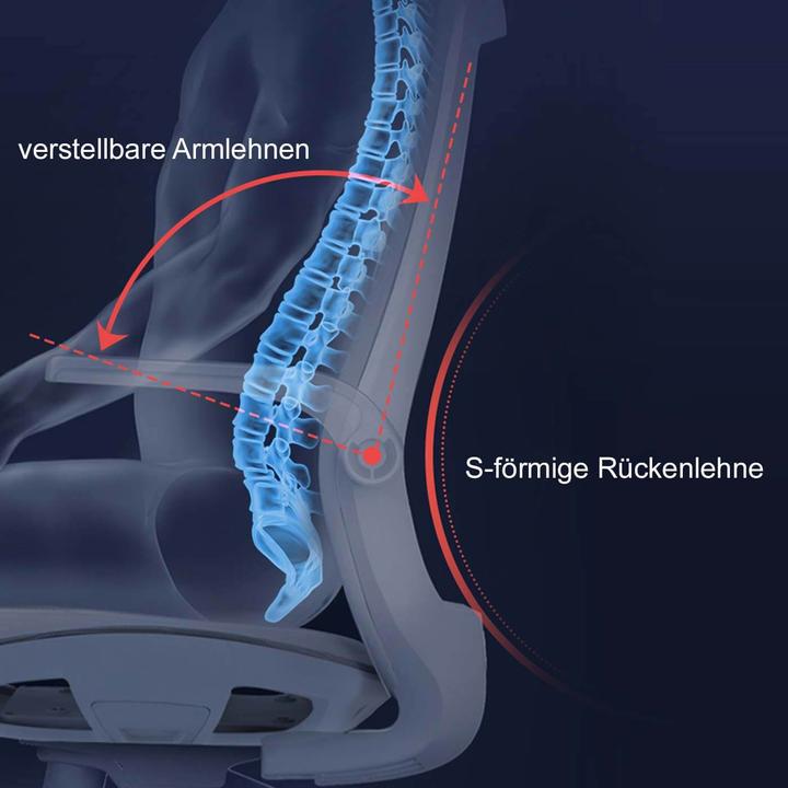 Image du produit Sihoo Chaise de bureau avec soutien lombaire