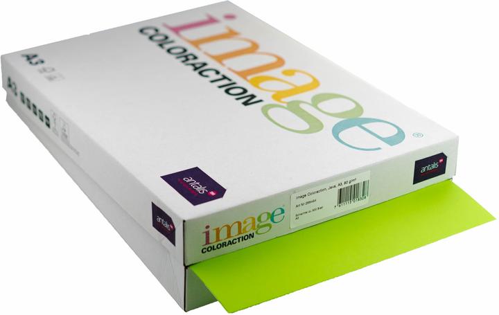Image du produit Antalis Papier à copier Image Coloraction A3, vert mai, 500 feuilles (80 g/m², 500 x, A3)
