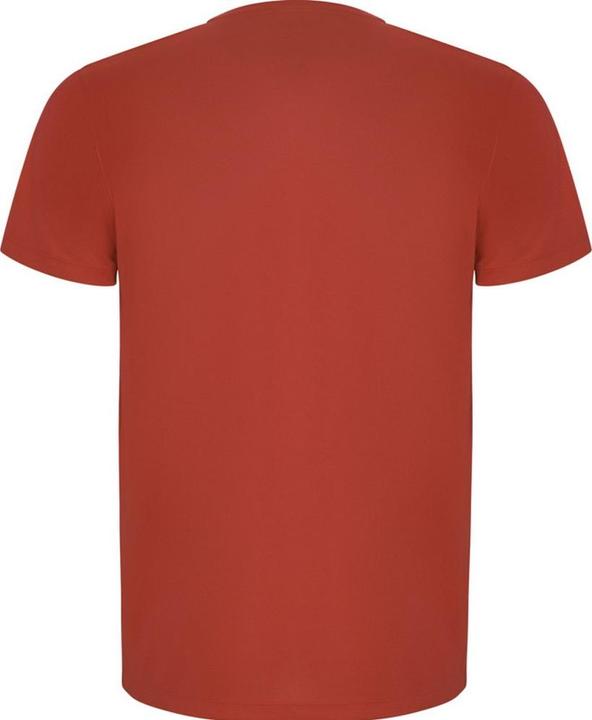 Immagine prodotto Alpinia Imola Maglietta Sportiva Maniche Corte Uomo (XL)