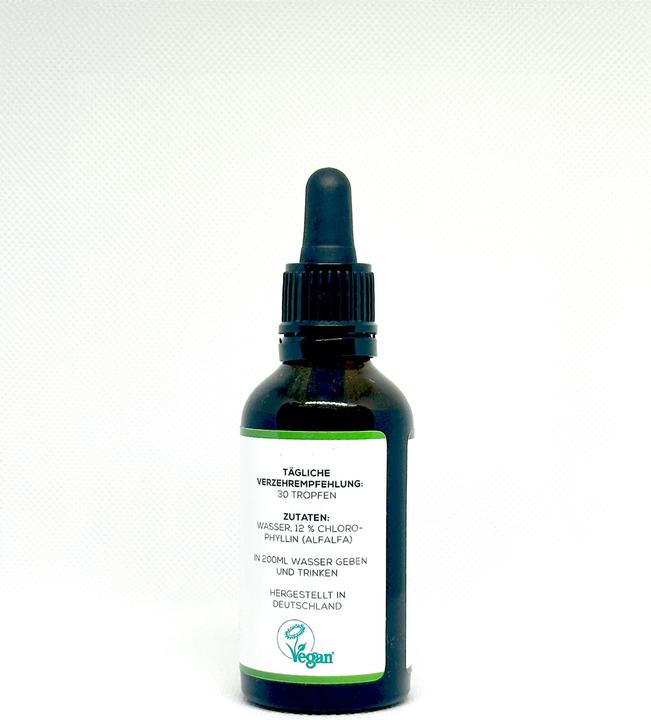 Actual product image Kraftgras Chlorophyll drops from alfalfa (1 Piece, Droplet)