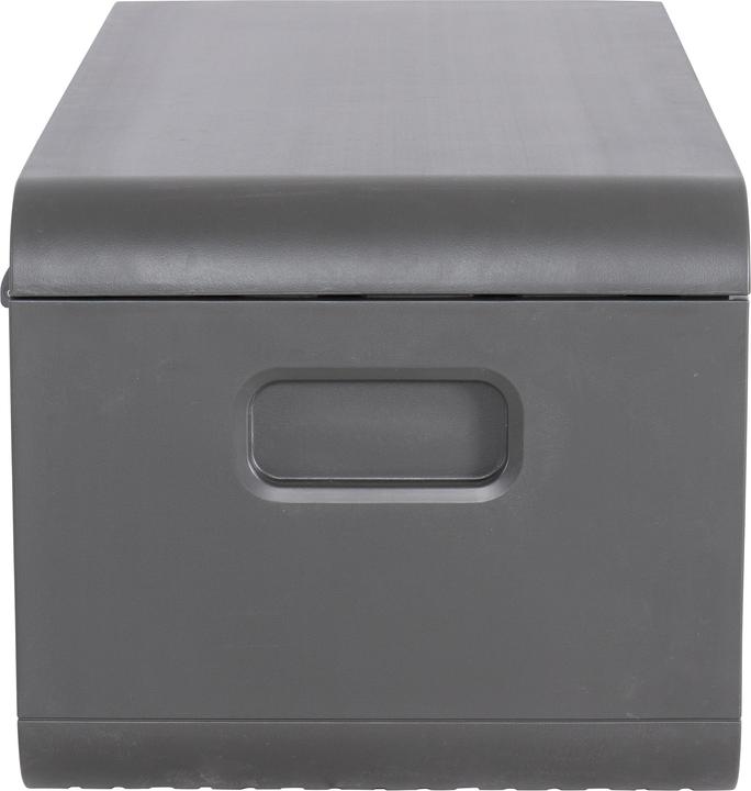 Actual product image Lifetime Kissenbox Space L