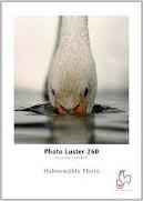 Immagine prodotto Hahnemühle Photo Luster 61 cm x 30 m, 260 g (260 g/m², 61 cm x 30 m, 25 x)
