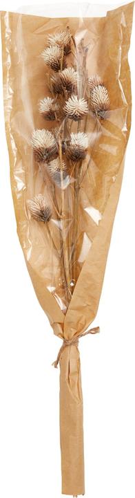 Produktbild micasa Fleur (70 cm)