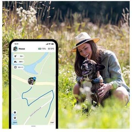 Produktbild Tractive Dog 4 GPS Tracker für Hunde (Katze, Hund, Spazieren)