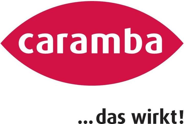 Produktbild Caramba 661402 - Innen & Aussen - Flüssigkeit - Lösungsmittelbasiert - 300 ml - 1 Stück(e (1 x, 300 ml)
