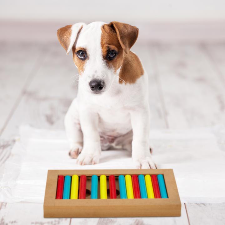Produktbild Relaxdays Hunde-Intelligenzspielzeug (Intelligenzspielzeug Hund)