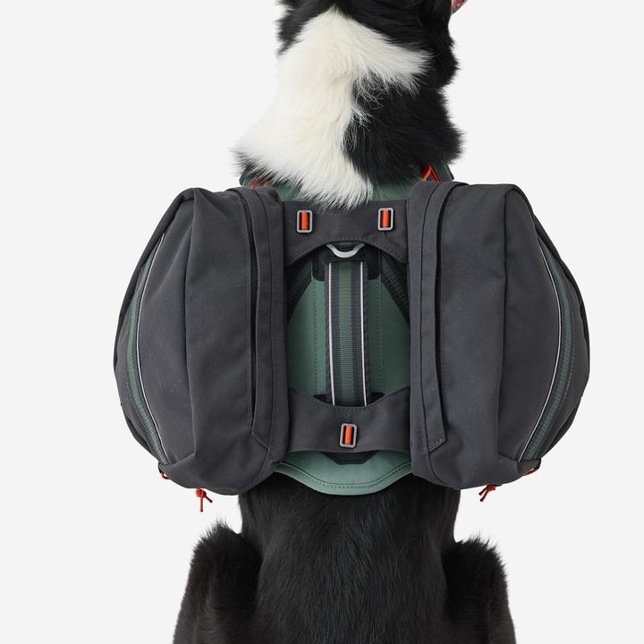 Actual product image Caperlan Hundegeschirr Wandern (S, Dog, Dog sport)