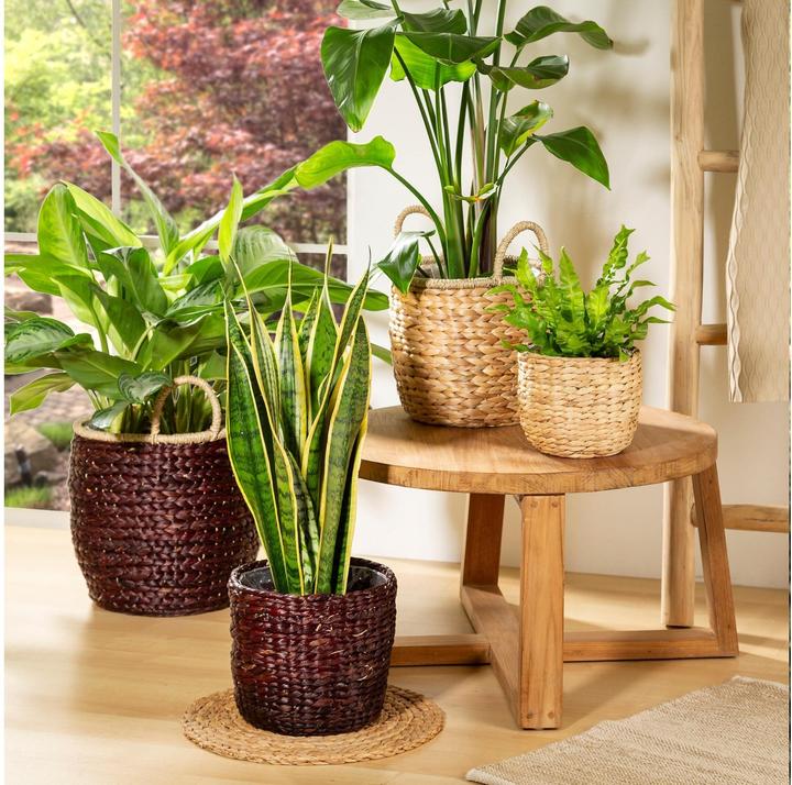 Produktbild Scheurich Water hyacinth 23, Korbgefäss/Korb-Pflanzgefäss/Korbtopf aus Water hyacinth Farbe: Nature, 2 (23 cm)