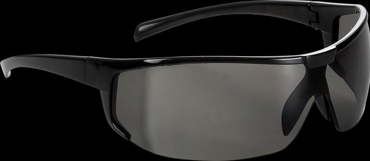 Image du produit Fortis Lunettes de protection teinté Polaris