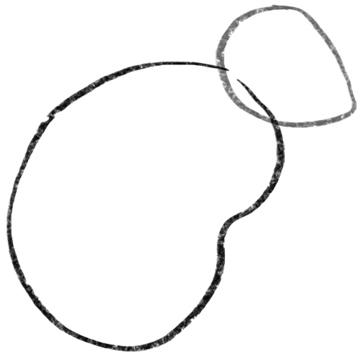 Image du produit 365 motifs de dessin pour chaque jour