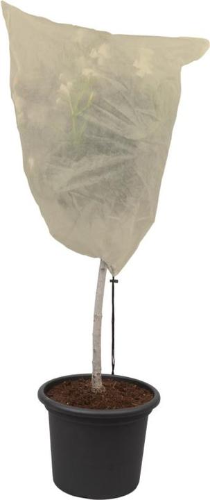 Produktbild Colibri Winter Hood XL