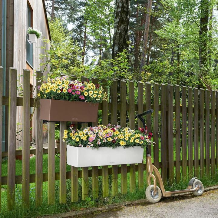 Produktbild Lechuza Balconera Color (19 cm)