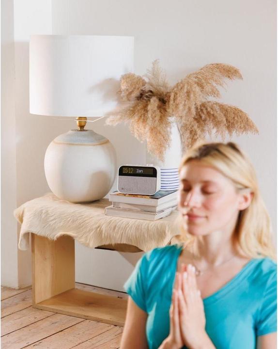 Image du produit Pure Moment (FM, DAB+ DAB, Bluetooth)