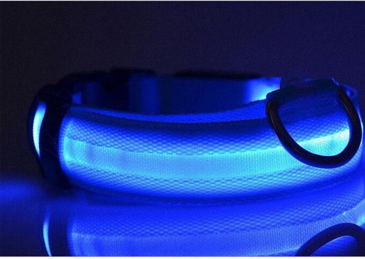 Actual product image Cbx Rechargeable LED dog collar size L - 46-50cm (L, Dog)